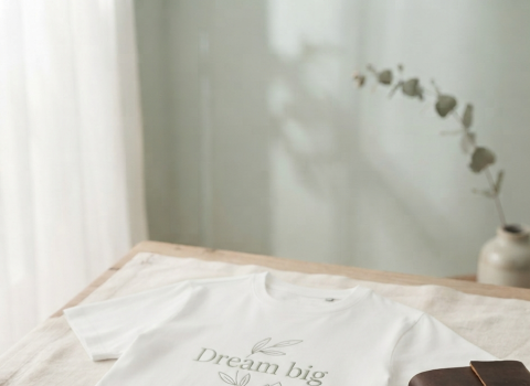 Dream big vīriešu krekls